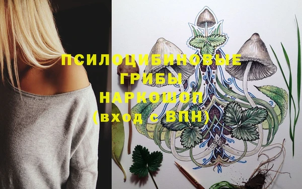 МДПВ Алексеевка