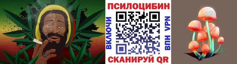 ОМГ ОМГ зеркало  купить  сайты  Андреаполь  Галлюциногенные грибы GOLDEN TEACHER 